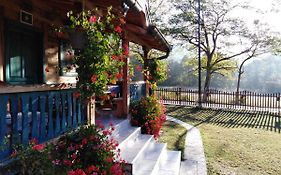Apartment Bajka